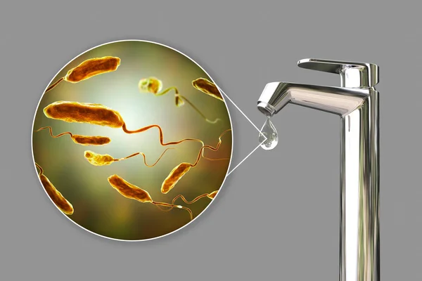 Segurança Conceito Água Potável Ilustração Mostrando Bactérias Vibrio Cholerae Agente — Fotografia de Stock