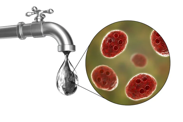 饮水安全概念 三维图解 显示肠胃孢子原生动物囊肿 引起心绞痛和腹泻的病原体 污染饮用水 — 图库照片