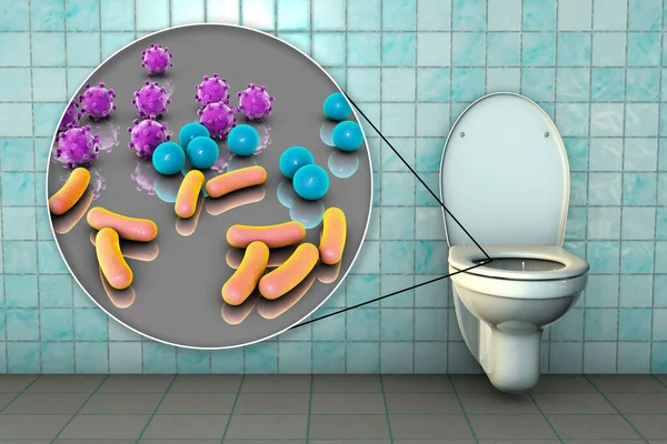 Tuvalet Mikropları Kavramsal Boyutlu Çizimler Shal Enfeksiyonlarının Bulaşması Escherichia Coli — Stok fotoğraf