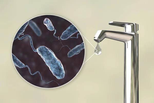Bezpečnost Koncepce Pitné Vody Ilustrace Bakterií Vibrio Cholerae Původce Cholery — Stock fotografie
