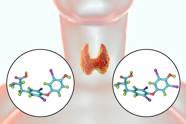 Molecules Thyroid Hormones Triiodothyronine Thyroxine Illustration — Stock Photo, Image