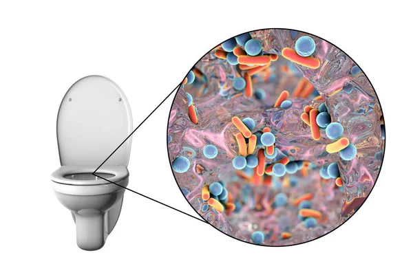 Toaletowe Mikroby Konceptualna Ilustracja Transmisja Infekcji Biegunkowych Bakterie Przenoszone Przez — Zdjęcie stockowe