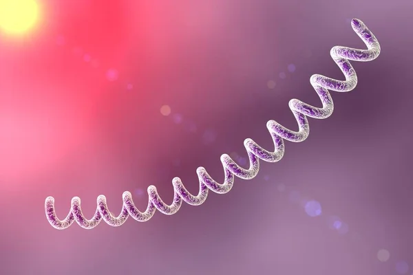 Treponema Pallidum Kleurrijke Achtergrond Bacterie Die Syfilis Veroorzaakt Seksueel Overdraagbare — Stockfoto