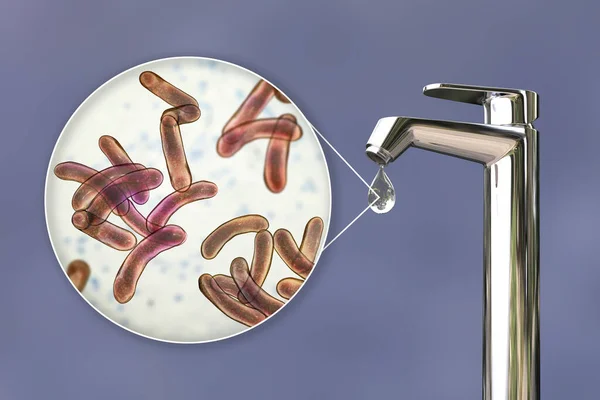Veiligheid Van Drinkwaterconcept Illustratie Met Bacteriën Vibrio Cholerae Veroorzaker Van — Stockfoto