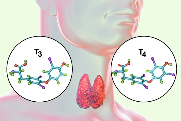 Tiroid Hormonu Molekülleri Triyodotilor Tiroksin Boyutlu Illüstrasyon — Stok fotoğraf