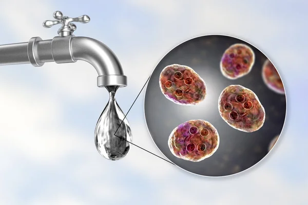 Säkerhet För Dricksvatten Koncept Illustration Visar Cystor Giardia Tarm Protozoan — Stockfoto