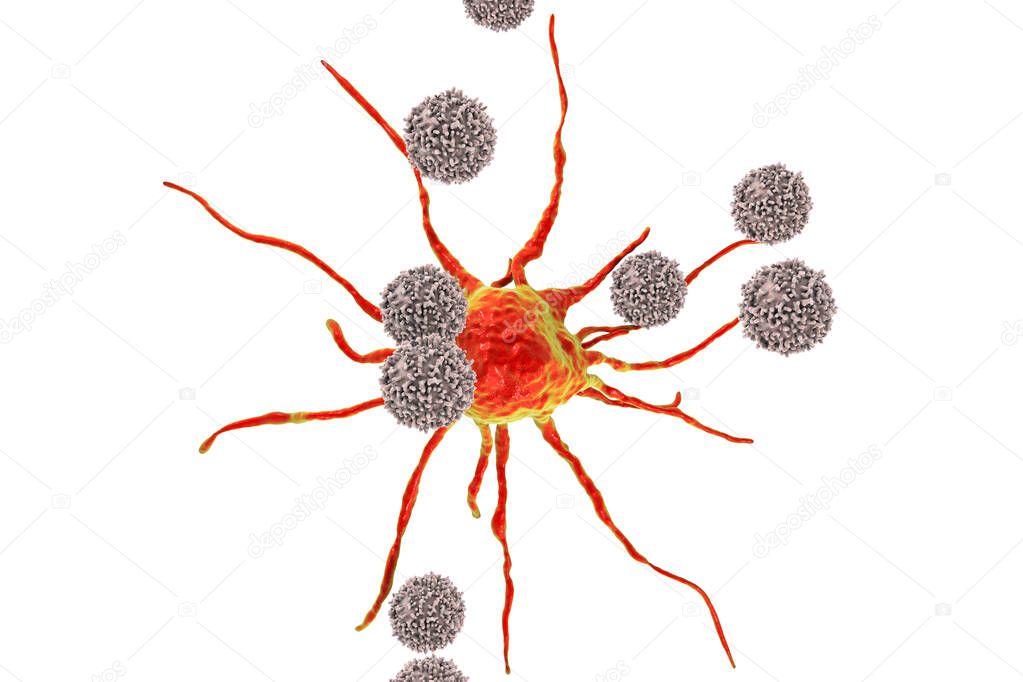 T-lymphocytes attacking cancer cell, 3D illustration isolated on white background with clipping path. Anticancer immunity and treatment concept