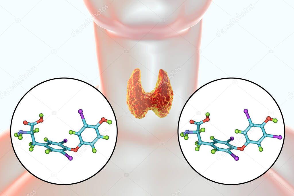 Molecules of thyroid hormones T3 and T4. Triiodothyronine and thyroxine, 3D illustration