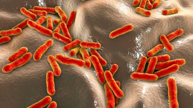 Cutibacterium aknes, eski adıyla Propionibacterium aknes, 3D illüstrasyon. Saç foliküllerinde bulunan bakteriler akne, kronik kanama ve endoftalit gelişimiyle ilişkilidir.