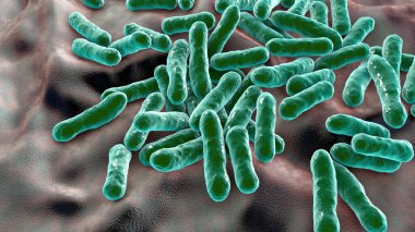 Cutibacterium aknes, eski adıyla Propionibacterium aknes, 3D illüstrasyon. Saç foliküllerinde bulunan bakteriler akne, kronik kanama ve endoftalit gelişimiyle ilişkilidir.