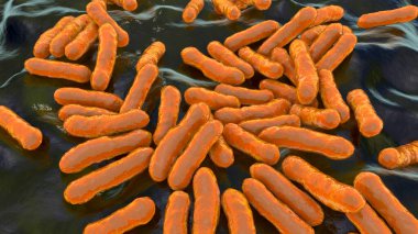 Cutibacterium aknes, eski adıyla Propionibacterium aknes, 3D illüstrasyon. Saç foliküllerinde bulunan bakteriler akne, kronik kanama ve endoftalit gelişimiyle ilişkilidir.