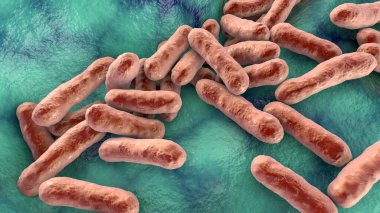 Cutibacterium aknes, eski adıyla Propionibacterium aknes, 3D illüstrasyon. Saç foliküllerinde bulunan bakteriler akne, kronik kanama ve endoftalit gelişimiyle ilişkilidir.