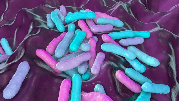 Trądzik Cutibacterium Dawniej Trądzik Propionibacterium Ilustracja Bakterie Występujące Mieszkach Włosowych — Zdjęcie stockowe