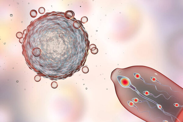 Contraception concept 3D illustration. Eggs cell and condom with spermatozoans