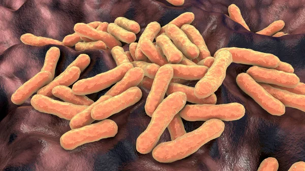 Cutibacterium Acnes Vormelijk Propionibacterium Acnes Illustratie Bacteriën Gevonden Haarzakjes Geassocieerd — Stockfoto