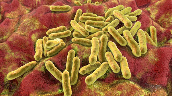 Cutibacterium Acnes Propionibacterium Acnes Illustrazione Batteri Trovati Nei Follicoli Piliferi — Foto Stock