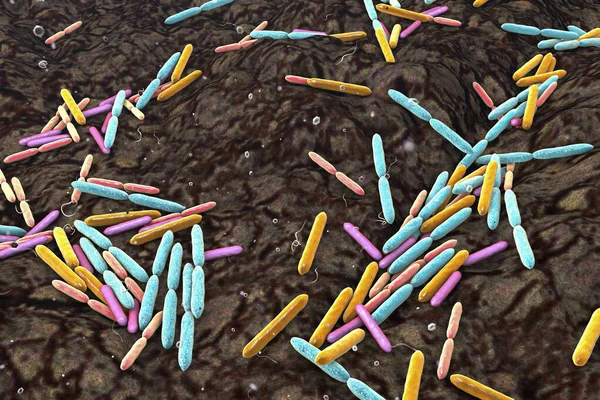 Soil bacteria of different species, the source of recently discovered antibiotic malacidin, 3D illustration