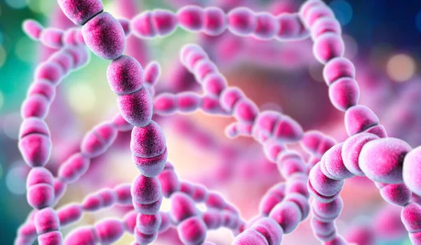 Bacterias Streptococcus Thermophilus Ilustración Bacterias Esféricas Grampositivas Probióticas Utilizadas Producción — Foto de Stock