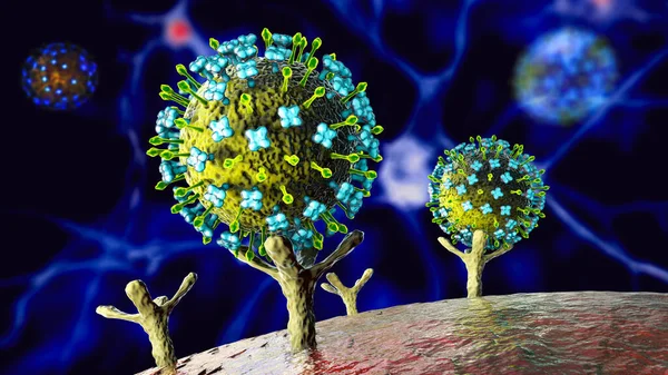 Nipah viruses binding receptors on human cells, an initial stage of Nipah infection. A newly emerging bat-borne virus that causes acute respiratory illness and severe encephalitis, 3D illustration
