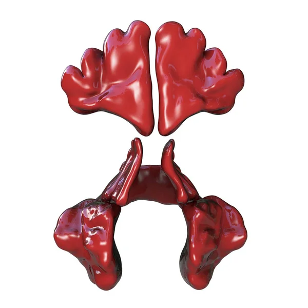 Anatomia Dos Seios Paranasais Ilustração Mostrando Seios Frontal Maxilar Etmoidal — Fotografia de Stock