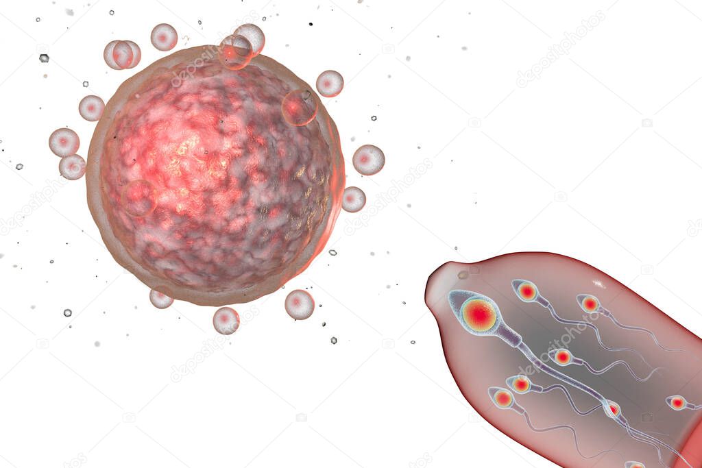 Contraception concept 3D illustration. Eggs cell and condom with spermatozoans
