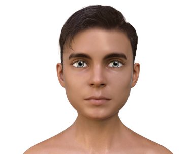 Sağlıklı çocuk, 3 boyutlu illüstrasyon normal bir gencin yüzünü ve boynunu gösteriyor.