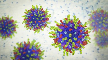 Herpes simplex virüsü, 3 boyutlu illüstrasyon