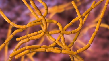Bakteri Bacillus anthracis, şarbon hastalığının nedensel maddesi, 3 boyutlu illüstrasyon