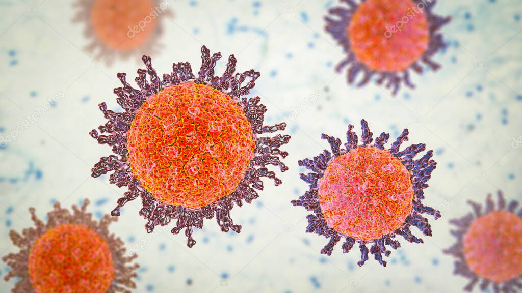 Herpes simplex virus, 3D illustration