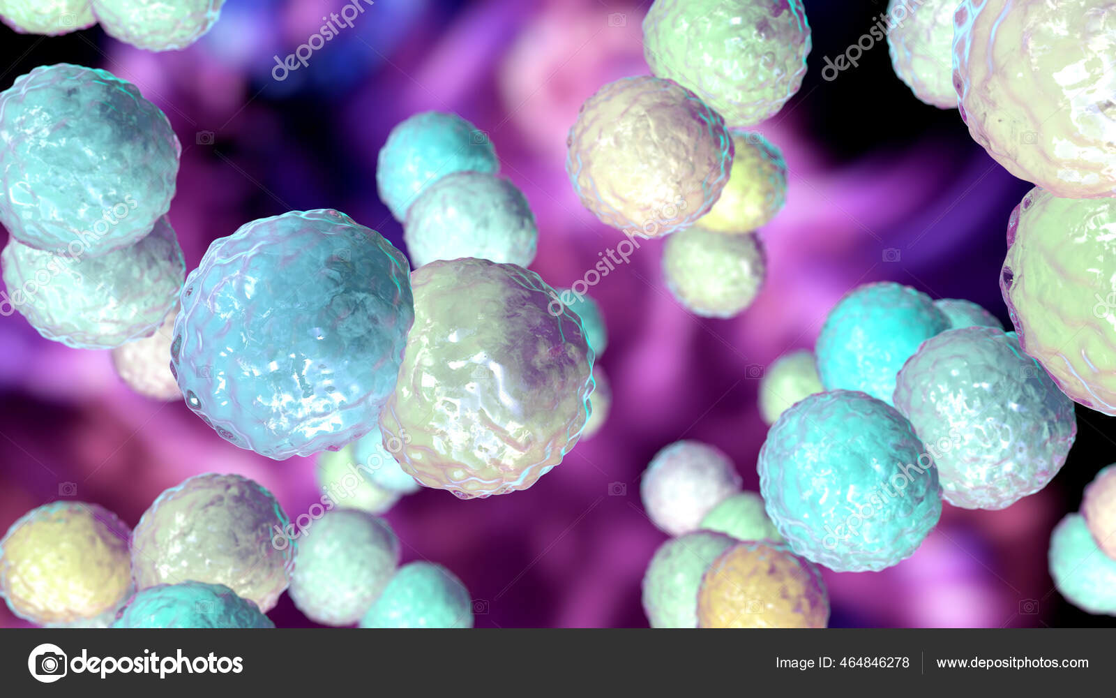 Moraxella Catarrhalis Bacterie Illustratie Gram Negatieve Aërobe Bacterie Diplococcus