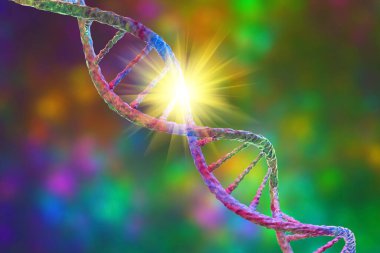 Genetik mutasyon, kavramsal 3 boyutlu çizim. Genlerinde mutasyon olan çift sarmallı DNA molekülü. Genetik bozukluk kavramı. İnsan genomunu yok etti. DNA yok etme ve gen mutasyonu