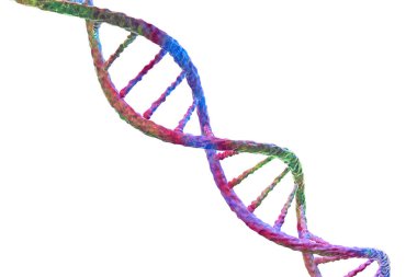 Beyaz arka planda izole edilmiş DNA molekülü, çift sarmal, üç boyutlu illüstrasyon