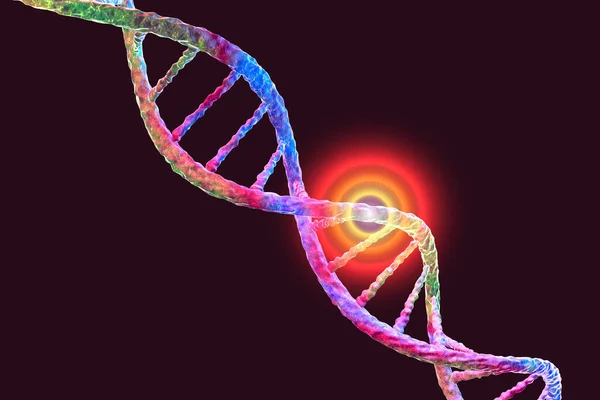 Genetic mutation, conceptual 3D illustration. Double stranded DNA molecule with mutation in a gene. Concept for genetic disorder. Destroyed human genome. DNA destruction and gene mutation