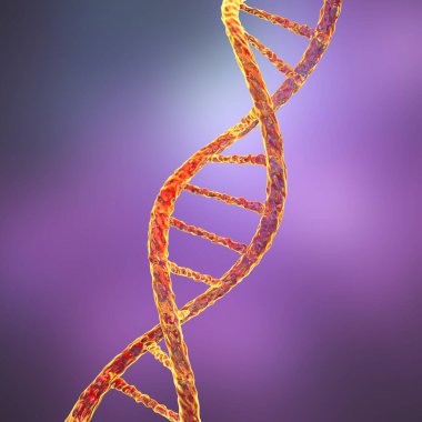 DNA molekülü, çift sarmal, üç boyutlu çizim. Gen terapisi, genetik mutasyon ve genetik bozukluklar.