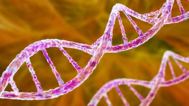 DNA molekülü, çift sarmal, üç boyutlu çizim. Genetik mutasyon ve genetik bozukluklar