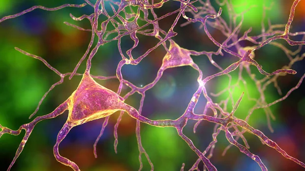 Neuronen Hersencellen Amygdala Illustratie Amygdalas Zijn Clusters Van Kernen Temporale — Stockfoto