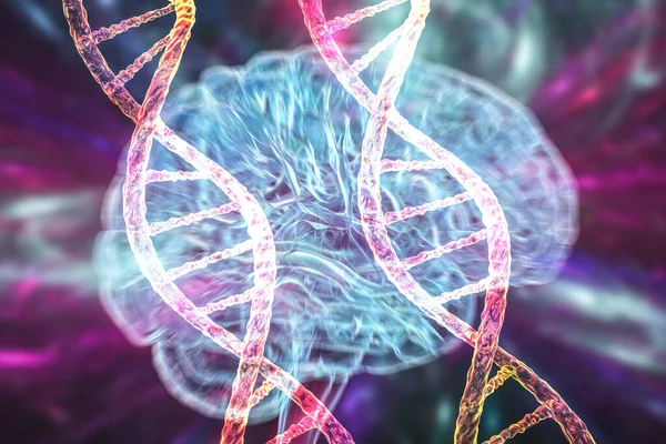 Genetic brain disorders, conceptual 3D illustration. Mutations in the DNA leading to brain diseases. Neurogenetics, neurodegenerative disorders