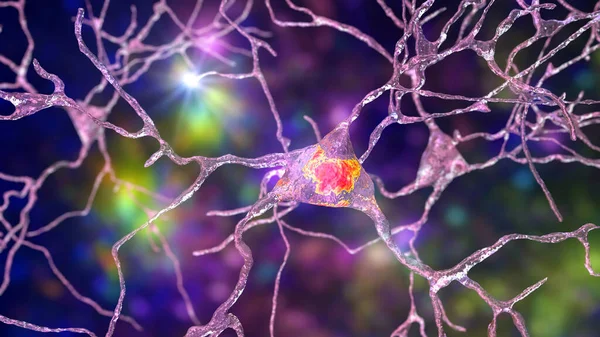 Neuronas Células Cerebrales Localizadas Amygdala Ilustración Las Amígdalas Son Grupos — Foto de Stock