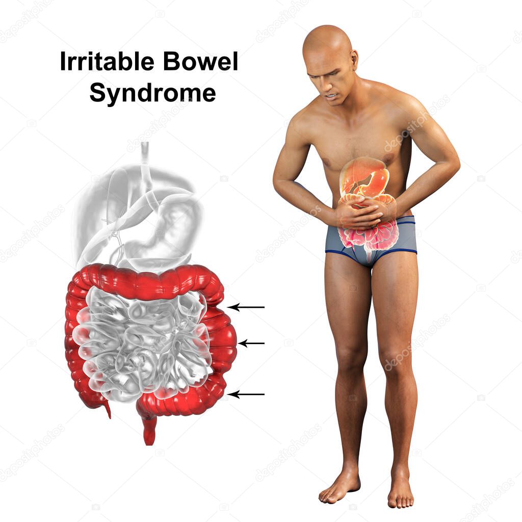 Abdominal pain and cramping in a male patient because of irritable bowel syndrome, conceptual 3D illustration showing a man with highlighted digestive system and close-up view of bowel spasms