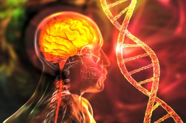 Genetic brain disorders, conceptual 3D illustration. Mutations in the DNA leading to brain diseases. Neurogenetics, neurodegenerative disorders clipart