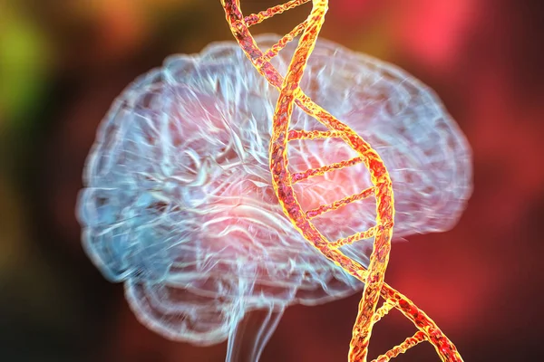 Genetic brain disorders, conceptual 3D illustration. Mutations in the DNA leading to brain diseases. Neurogenetics, neurodegenerative disorders