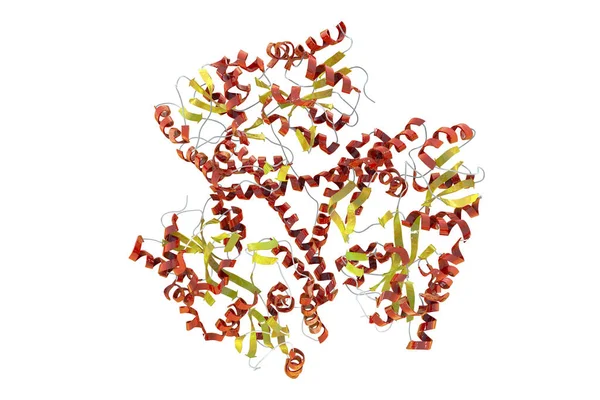 단백질 Molule Huntingtin Protein Htt 유전자에 암호화 삽화이다 Htt 헌팅턴 — 스톡 사진