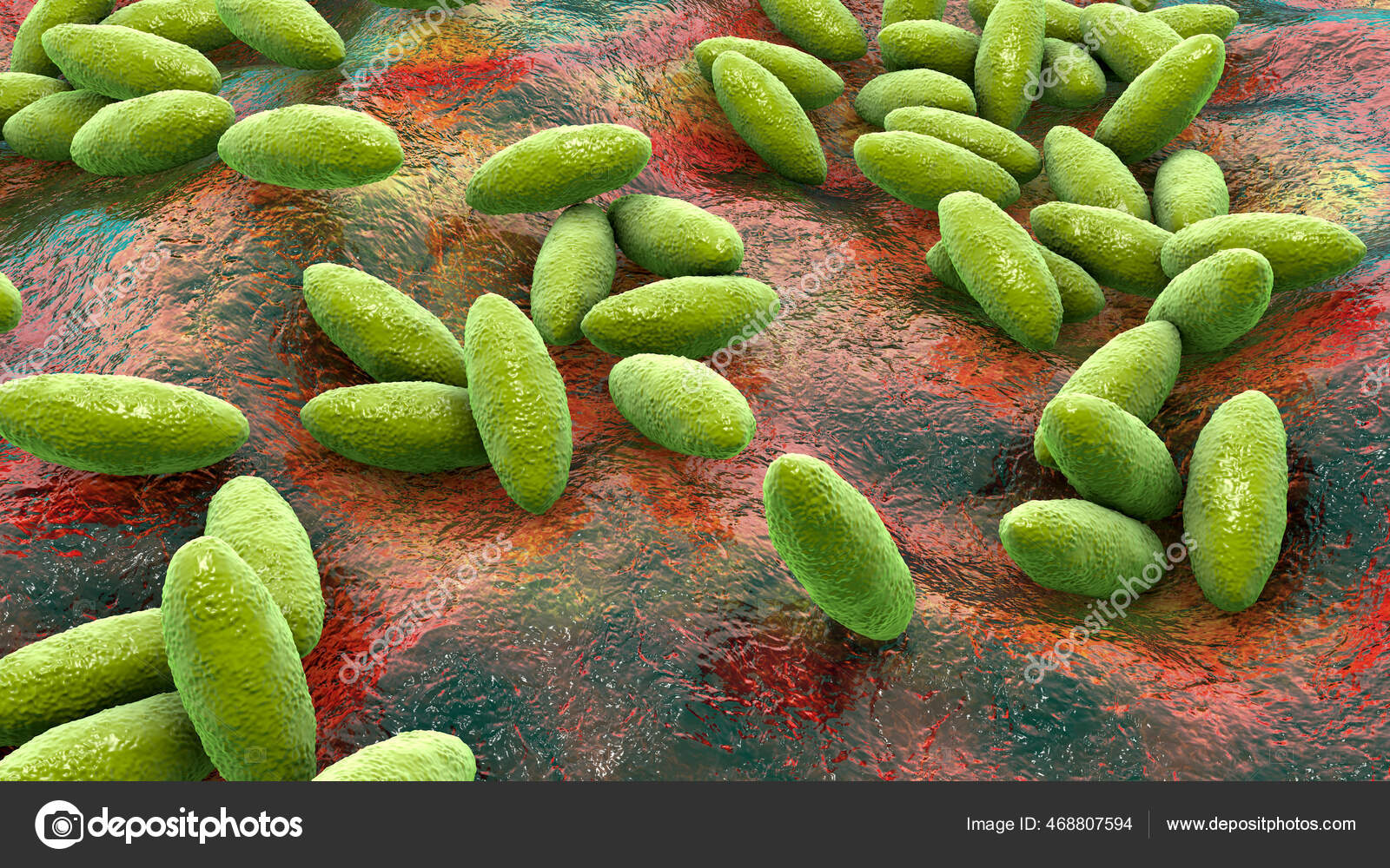 Brucella Bacteria Illustration Gram Negative Bacteria Cause Brucellosis Cattle Humans Stock