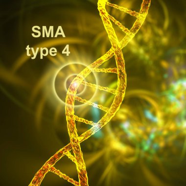 Spinal kas atrofisi, SMA, tip 4, SMN1 genindeki mutasyon, kavramsal 3D illüstrasyon nedeniyle motor nöron kaybı nedeniyle ilerleyen kas israfı ile genetik nöromüsküler bozukluk.
