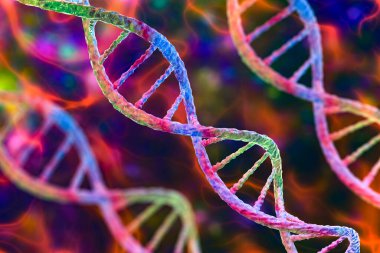 DNA molekülü, çift sarmal, üç boyutlu çizim. Genetik mutasyon ve genetik bozukluklar