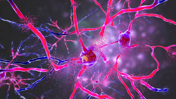 Neurony Prążkowania Grzbietowego Ilustracja Prążkowanie Grzbietowe Jest Jądrem Zwojach Podstawowych — Zdjęcie stockowe