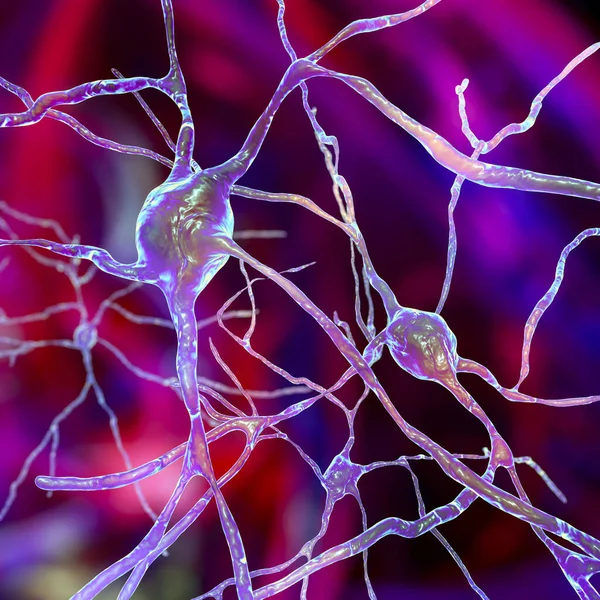 Neurons Dorsal Striatum Illustration Dorsal Striatum 신경절의 핵으로 신경을 약화시키는 — 스톡 사진