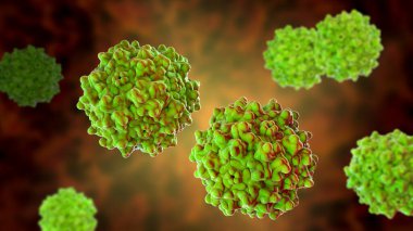 Adeno bağlantılı virüsler, 3 boyutlu çizimler. İnsanları enfekte etmek için bilinen en küçük virüsler, Parvoviridae ailesine aittir, gen terapisi ve izojenik insan hastalıkları modelleri için kullanılır.