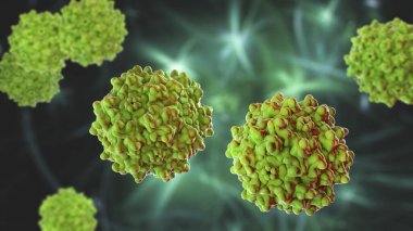 Adeno bağlantılı virüsler, 3 boyutlu çizimler. İnsanları enfekte etmek için bilinen en küçük virüsler, Parvoviridae ailesine aittir, gen terapisi ve izojenik insan hastalıkları modelleri için kullanılır.