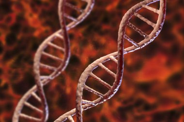 DNA molekülü, çift sarmal, üç boyutlu çizim. Gen terapisi, genetik mutasyon ve genetik bozukluklar.